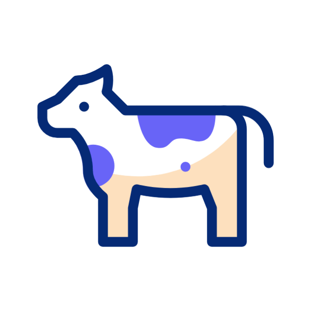 Cattle