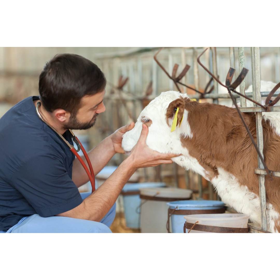 Biomed Agrovet