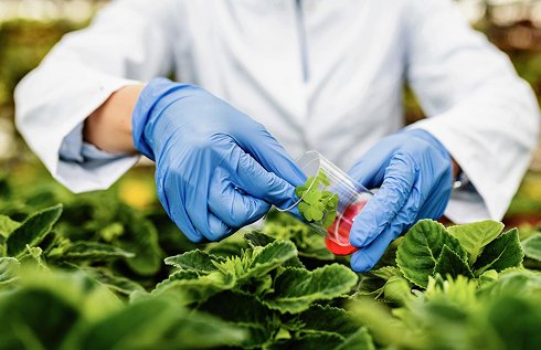 Biotechnology research