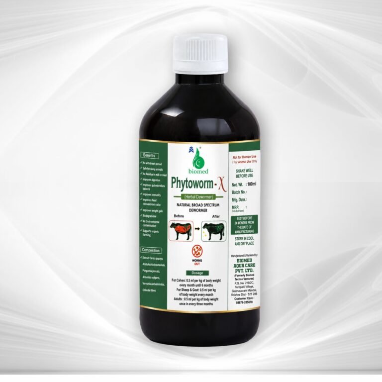 PhytoWorm