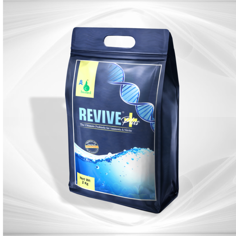REVIVE