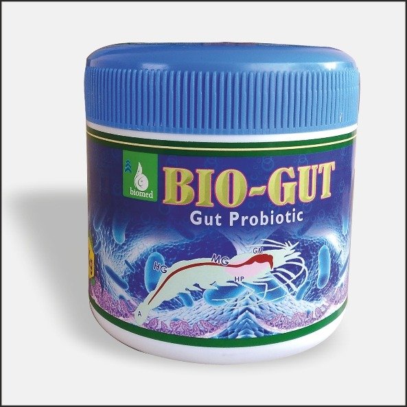 BIO GUT